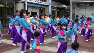 「ど～んとCoco de 踊らん会」　湘南よさこい祭り2011　MN北広場