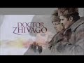 Lara's Theme from Doctor Zhivago