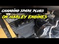 How to Change Spark Plugs on a Harley Davidson | Gold Spark Plugs? | Motovlog harley davidson