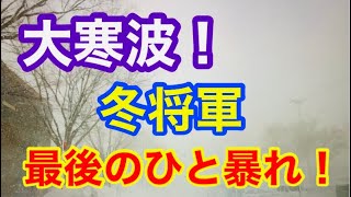 青森市大寒波！【居座る冬将軍！】ホワイトアウト寸前！戸山の雪の回廊まで！