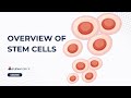 Overview of Stem Cells