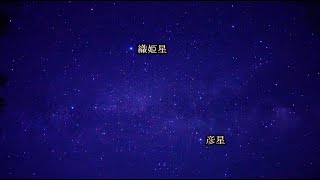 星のきれいな阿智村で見た夏の天の川と七夕の星（SONYα7SⅢリアルタイム動画）