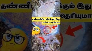 தண்ணீரில் மிதக்கும் இந்த வெளிர் தோற்றம் என்ன தெரியுமா??? #facts #iornbacteria #shorts #tamilfacts