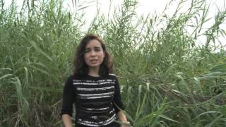 CARRIZO CANE REMOVAL