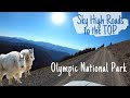 TOP of Olympic National Park - Sky HIGH Roads - Deer Park and Obstruction Point in Hurricane Ridge