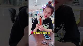 小小一只茶杯犬