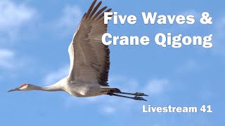 Five Waves and Crane Qigong ☯ 🌊- Livestream 41