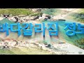 고흥우도 바다갈라짐 정보 9월 15일 해양방송 on바다