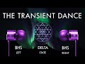 The Transient Dance - Healing While Sleeping !