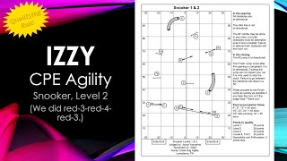 Izzy - CPE Agility - Snooker, Level 2 - 2022.11.27