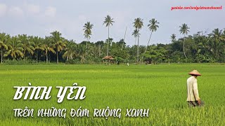 BÌNH YÊN TRÊN NHỮNG ĐÁM RUỘNG XANH | ANDY'S HOMETOWN #life on the countryside  # rice fields