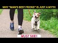 Why Dogs Are Actually a WOMAN's Best Friend Not Man's | Debunking More XY Delusions🐶💜✨