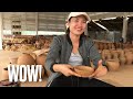 ANCIENT HAND POWERED TECHNOLOGY DEMONSTRATION 🇱🇦 |Ban Chan Pottery Village - Luang Prabang, Laos|