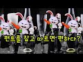 와인지식 와인병 아래를 오목하게 만들면 생기는 장점 feat. 거짓정보 바로잡기