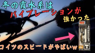 ジャッカルのバイブレーションは優秀。新作のスピードバイブのスピードがエグすぎてヤバいやつがきた！！