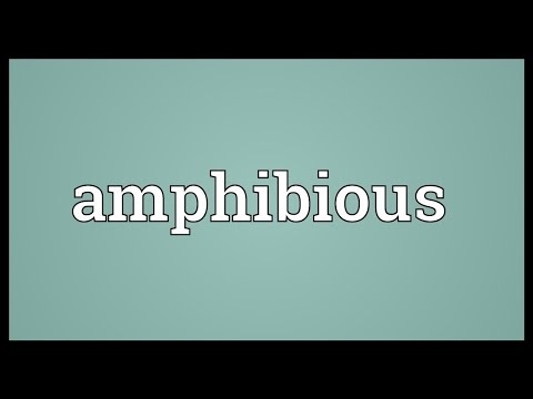 What does amphibious mean in Latin?