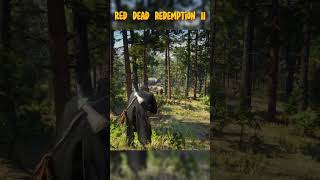 ROBIN HOOD WAS HERE !!! - Red Dead Redemption II #gaming #shorts #rdr2