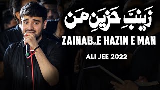 zainabe hazine man | ali shanawar ali jee live noha 2022 | Nadeem sarwar live noha karachi 2022