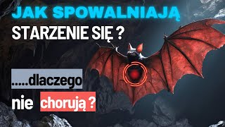 Sekret Długowieczności Ukryty W Nietoperzym DNA - Nowe Badania Dokument Lektor PL