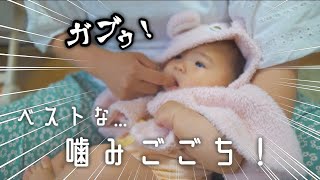 【生後5ヶ月】歯が痒いみたい...？噛み噛みする娘【育児vlog】