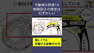 【可動域評価⑮】可動域制限の制限因子特定は難しい