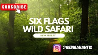 Six Flags Safari New Jersey: A Wild Adventure for Whole Family ​⁠| Must visit places in New Jersey