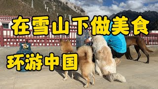 鐵牛旅行記123集/環遊中國邊境線，沒有想到在西藏身體就出現問題了，先在縣城休整一天給狗狗做一頓美食。#流浪狗救助 #環遊中國 #艾倫 #房車自駕游【正版鐵牛旅行記Allen】