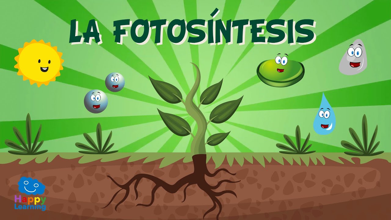 LA FOTOSÍNTESIS | Vídeos Educativos Para Niños - YouTube