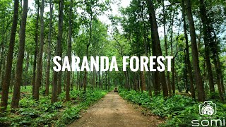 Saranda Forest, land of 700 hills, Barbil | Jharkhand | Odisha | Kiriburu | Meghahatubu | Thalkobad