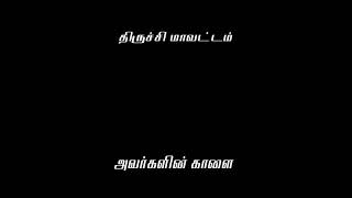 திருச்சி மாவட்டம் A K m மோகன் அவர்களின் காலை சேலம் மாவட்டம் தம்மம்பட்டி ஜல்லிக்கட்டு