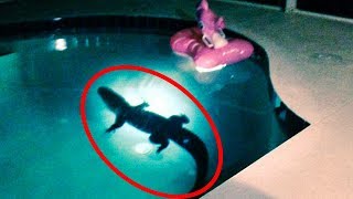 Top 15 Mysterious Things Found in People's Backyards