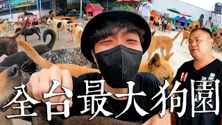 浪浪環島EP.3｜全台最大狗園！充滿爭議的徐園長護生園！