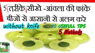 AMLA || बिना चाकू के आंवला कटेगा आसानी से || 5 WAYS ||  10 Amla TIPS || INDIAN GOOSEBERRY TIPS/ #Hog