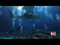 Diving with the Whale Sharks at the Georgia Aquarium!!