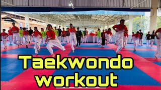 Taekwondo workout#training