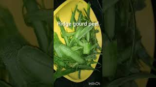 Ridge gourd (Luffa) peel Dosa| How to cook ridge gourd peel Dosa