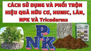 Cách sử dụng và phối trộn hiệu quả lân, humic, hữu cơ, NPK và Trichoderma | Kỹ thuật trồng cây