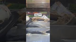 HITO THE FRESH WATER FISH I YOU WILL EATTHIS? #share #hito #fish #like