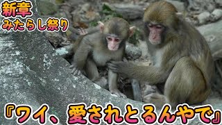 【赤ちゃん・ニホンザル・新章ワイ、シリーズ】『ワイ、家族から家族から愛されとるで』