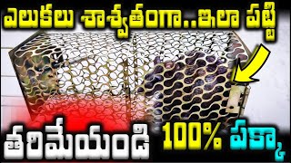 ఎలుకలు శాశ్వతంగా  ఇలా పట్టి తరిమేయండి 100% పక్కా | How to get rid of Rats | Rat Trap Cage |