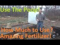 How Much Chicken Manure to put in a garden?