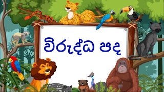 විරුද්ධ පද | Virudda pada #Kirana