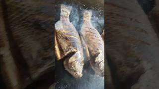 Manchanabele #trending #fish #manchanabeledam #virralshorts #food #manchanabele #viralvideo #trend