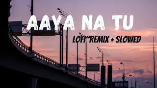 Aaya Na Tu [Lofi~ remix]  - Arjun Kanungo, Momina Mustehsan | Music Lovers | [Slowed & Reverb]