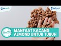 Segudang Manfaat Kacang Almond untuk Kesehatan Tubuh, Satu di Antaranya Meningkatkan Fungsi Otak