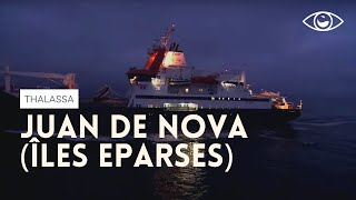 Juan de Nova (îles Eparses) -Thalassa