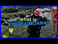 What is Kiwi Kaimoana?