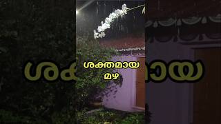 കൊല്ലം ജില്ലയിലെ ആയൂരിൽ (02/12/2024 06:33pm) പെയ്ത ശക്തമായ മഴ.