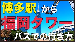 【博多駅から福岡タワーまでのバスでの行き方】ももち浜/PayPayドーム/マリゾン/福岡旅行/観光スポット/fukuoka