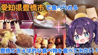 【愛知県豊橋市】豊橋といえば的なものを食べてみたーい！